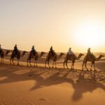 Carovana di cammelli nel deserto di Merzouga durante il tour tangeri marrakech 8 giorni