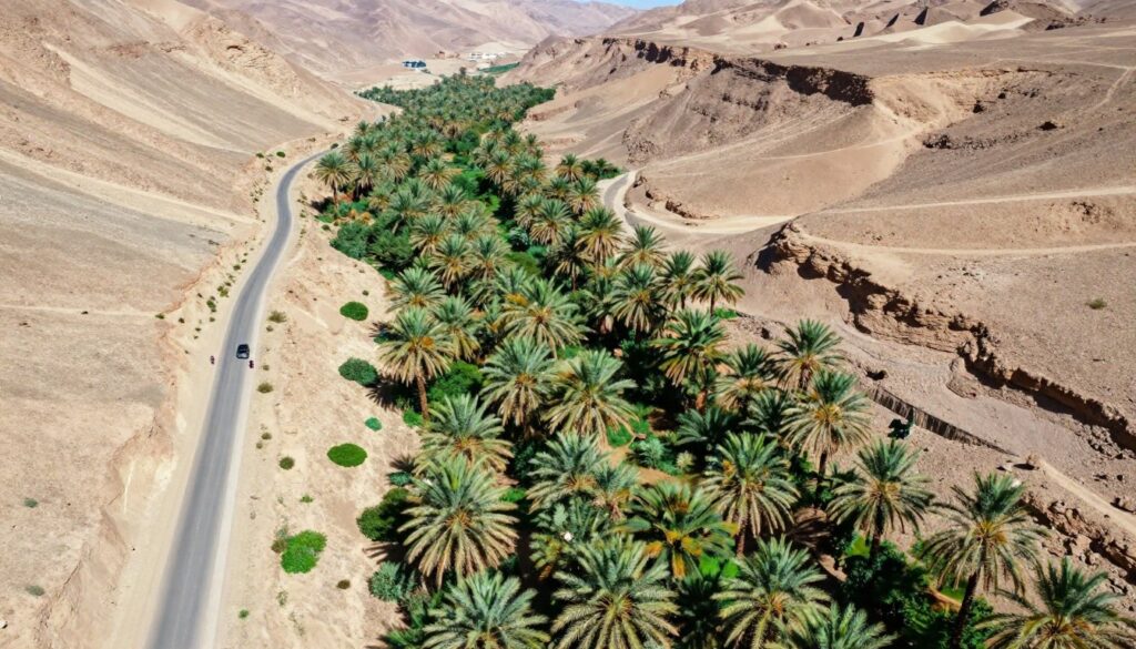 Valle dello Ziz con palmeti durante il tour marocco 10 giorni