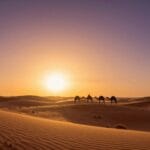 I 10 Migliori Tour da Marrakech: Guida Completa alle Escursioni 2026 3 Carovana di cammelli al tramonto sulle dune di Merzouga durante un tour da Marrakech